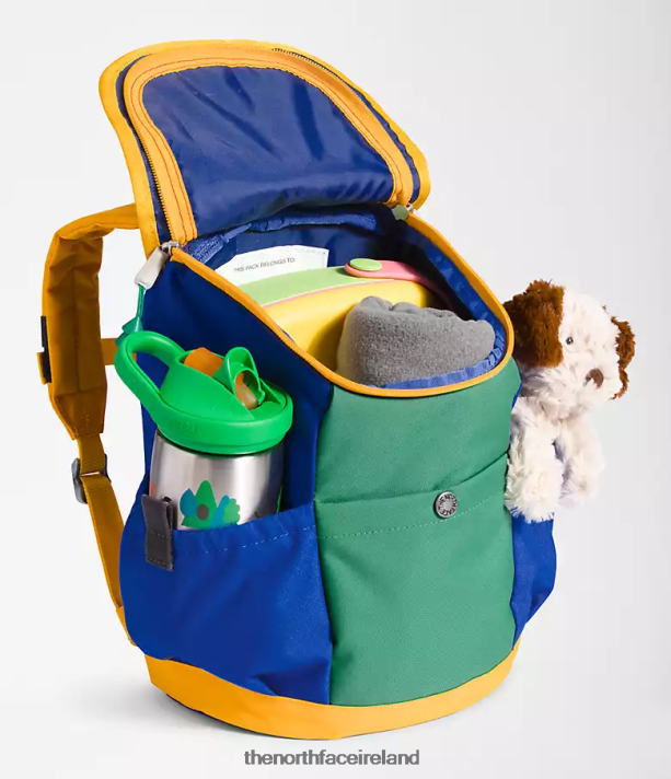 Accessory The North Face Kids Youth Mini Explorer Backpack TNF Red/Deep Grass Green/TNF Blue 4VP2RZ395