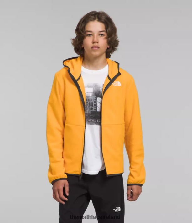 Clothing The North Face Kids Glacier Full-Zip Hooded Jacket Summit Gold 4VP2RZ948
