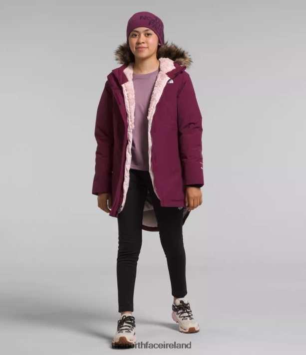Clothing The North Face Kids Arctic Parka Boysenberry 4VP2RZ178