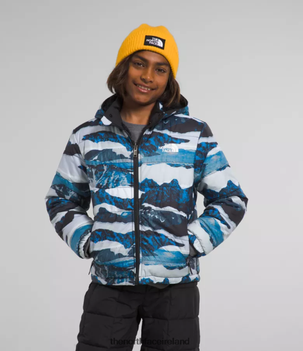 Optic Blue Mountain Traverse Print