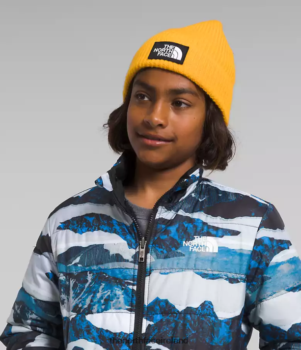 Clothing The North Face Kids Reversible Mt Chimbo Full-Zip Hooded Jacket Optic Blue Mountain Traverse Print 4VP2RZ80
