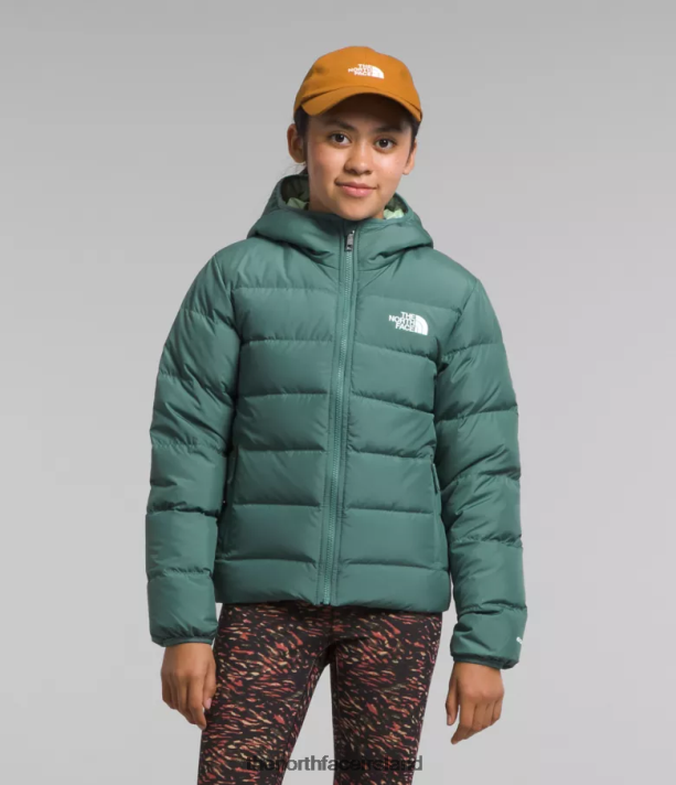 Clothing The North Face Kids Reversible North Down Hooded Jacket Dark Sage 4VP2RZ628