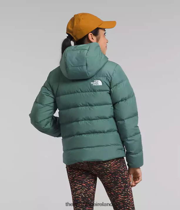 Clothing The North Face Kids Reversible North Down Hooded Jacket Dark Sage 4VP2RZ628