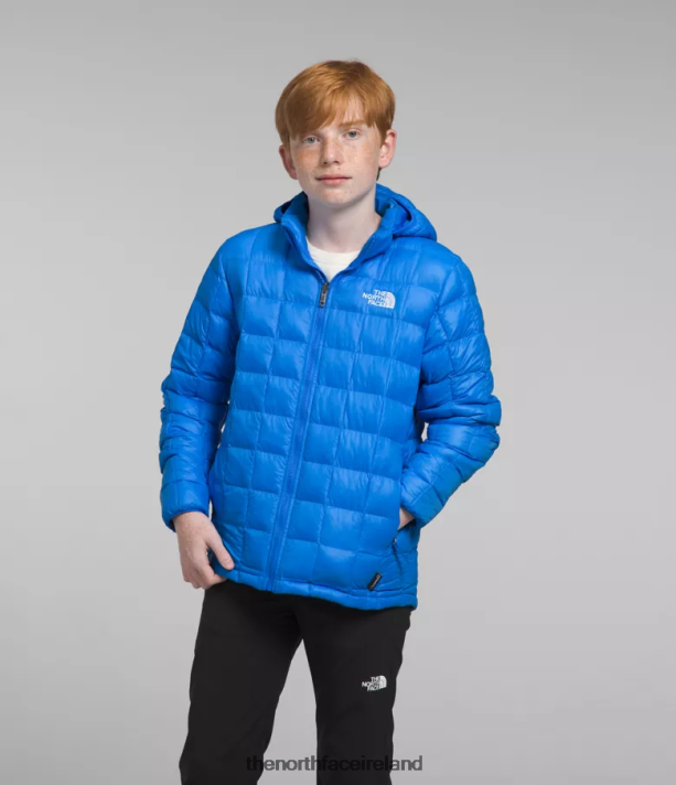 Clothing The North Face Kids ThermoBall Hooded Jacket Optic Blue 4VP2RZ632