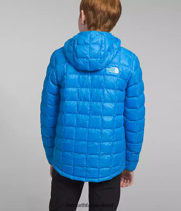 Clothing The North Face Kids ThermoBall Hooded Jacket Optic Blue 4VP2RZ632