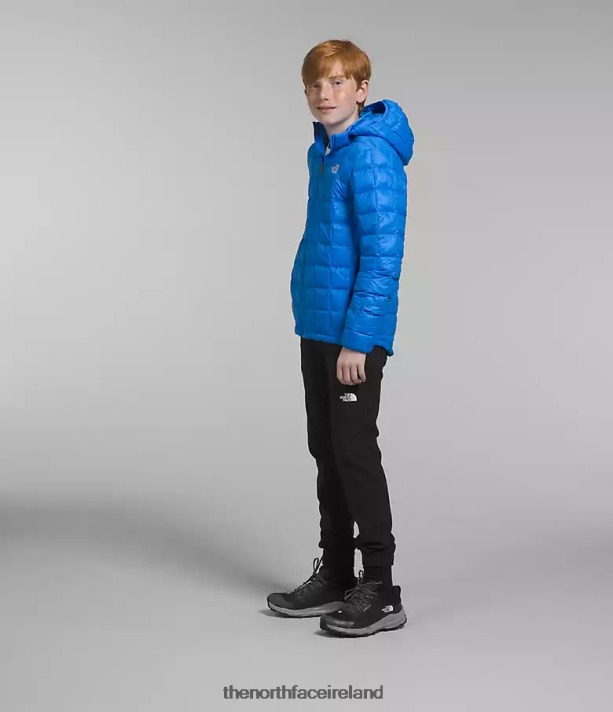Clothing The North Face Kids ThermoBall Hooded Jacket Optic Blue 4VP2RZ632