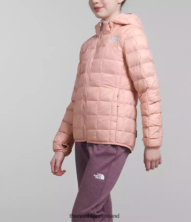 Clothing The North Face Kids ThermoBall Hooded Jacket Pink Moss 4VP2RZ180