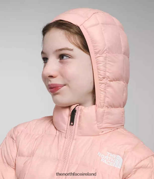 Clothing The North Face Kids ThermoBall Hooded Jacket Pink Moss 4VP2RZ180