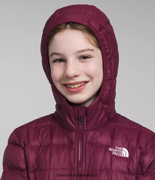 Clothing The North Face Kids ThermoBall Parka Boysenberry 4VP2RZ459