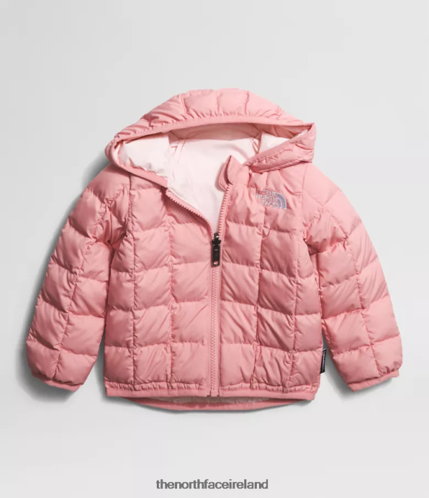 Clothing The North Face Baby Reversible ThermoBall Hooded Jacket Shady Rose 4VP2RZ637