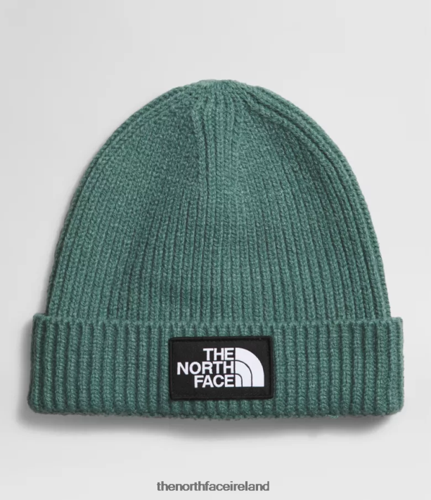 Accessory The North Face Kids TNF Box Logo Cuffed Beanie Dark Sage 4VP2RZ763
