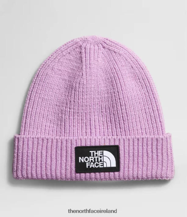 Accessory The North Face Kids TNF Box Logo Cuffed Beanie Lupine 4VP2RZ76