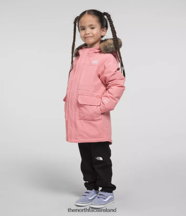 Clothing The North Face Kids Arctic Parka Shady Rose 4VP2RZ1154