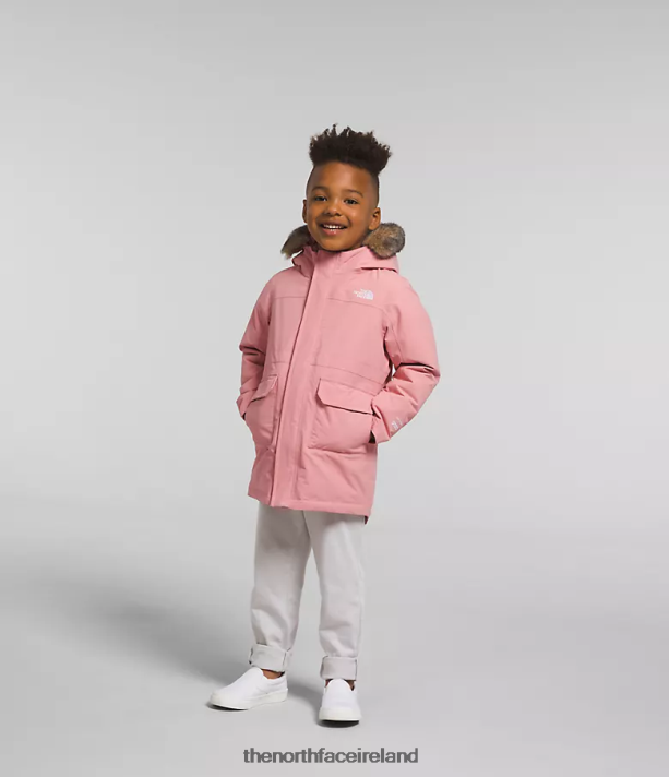 Clothing The North Face Kids Arctic Parka Shady Rose 4VP2RZ1154