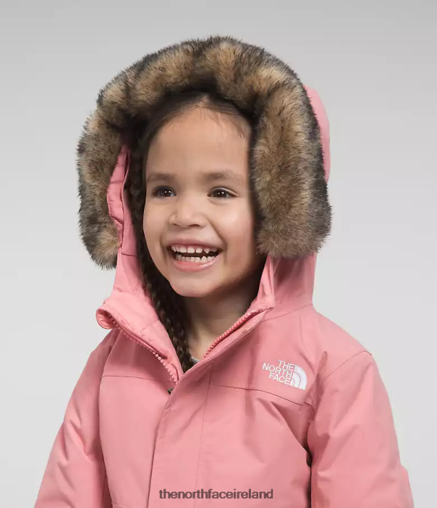 Clothing The North Face Kids Arctic Parka Shady Rose 4VP2RZ1154