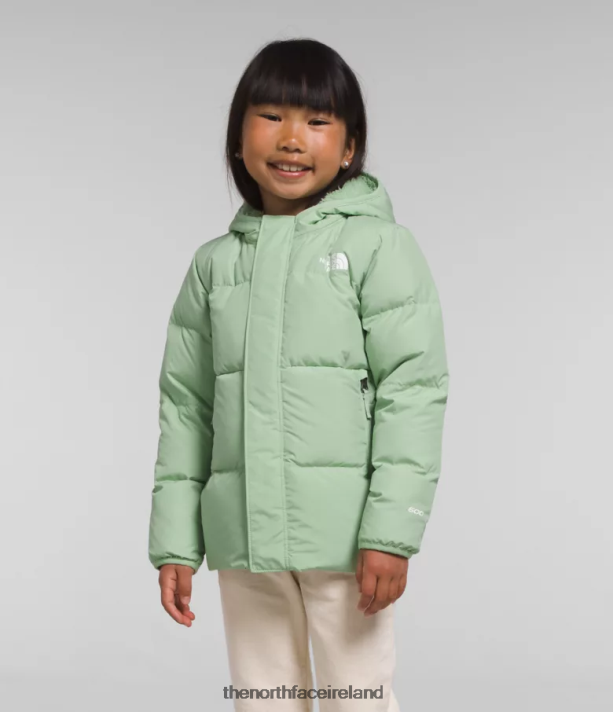 Clothing The North Face Kids North Down Hooded Jacket Misty Sage 4VP2RZ864