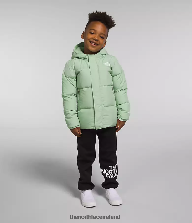 Clothing The North Face Kids North Down Hooded Jacket Misty Sage 4VP2RZ864