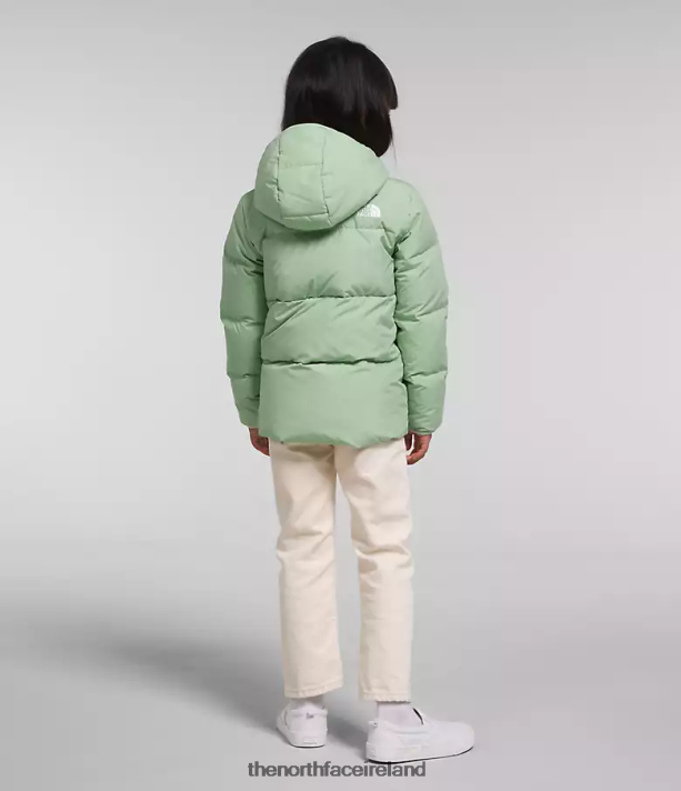 Clothing The North Face Kids North Down Hooded Jacket Misty Sage 4VP2RZ864
