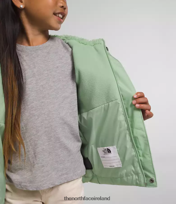 Clothing The North Face Kids North Down Hooded Jacket Misty Sage 4VP2RZ864