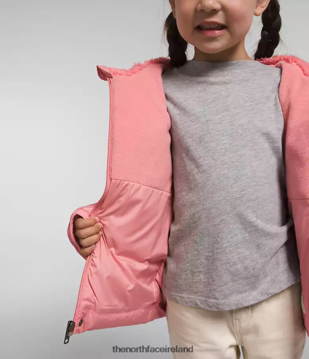 Clothing The North Face Kids North Down Hooded Jacket Shady Rose 4VP2RZ862