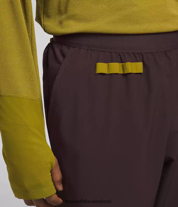 Clothing The North Face Men Trailwear OKT Joggers Coal Brown 4VP2RZ216