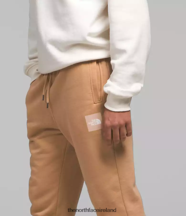 Clothing The North Face Men Box NSE Joggers Almond Butter 4VP2RZ1042