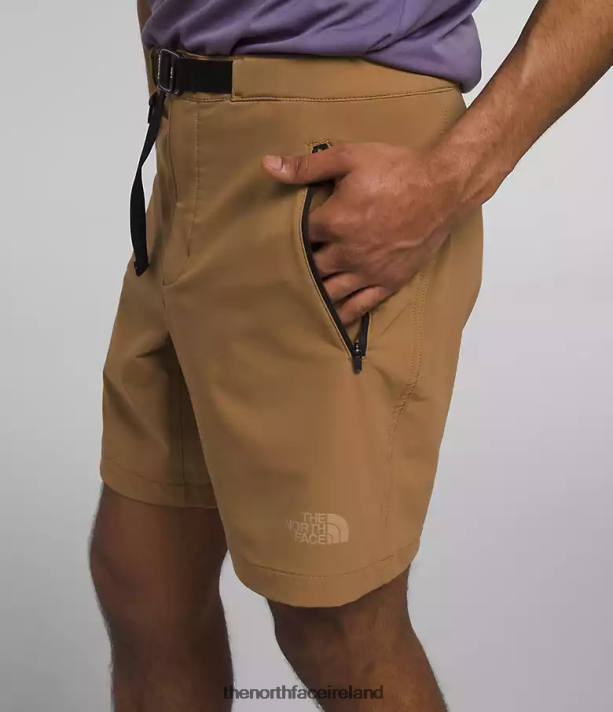 Clothing The North Face Men Paramount Pro Shorts Utility Brown 4VP2RZ927
