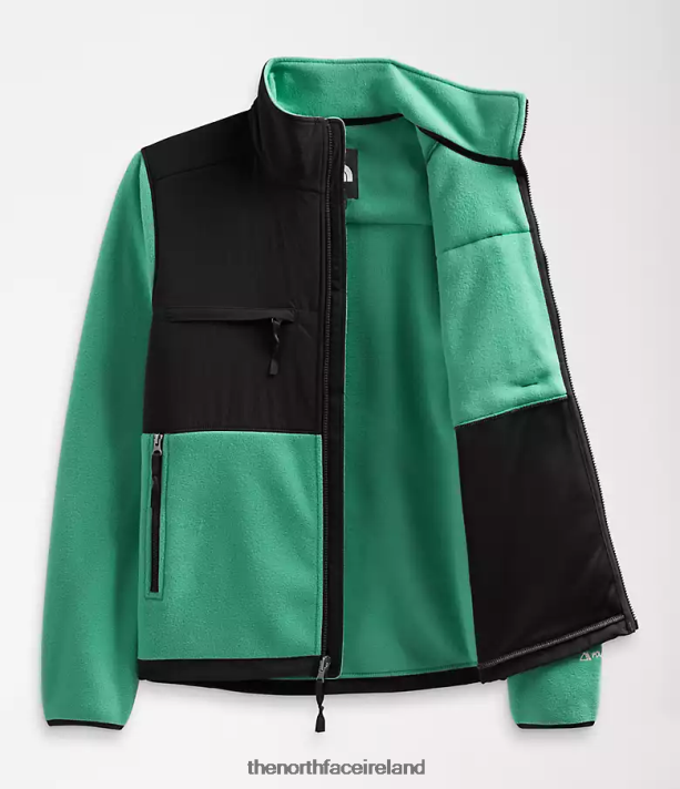 Clothing The North Face Men Denali Jacket Deep Grass Green 4VP2RZ197