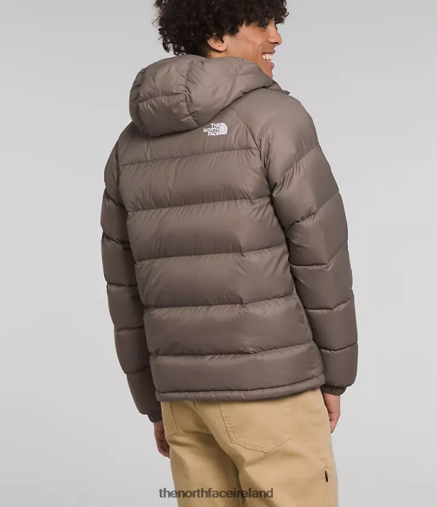 Clothing The North Face Men Hydrenalite Down Hoodie Falcon Brown 4VP2RZ642