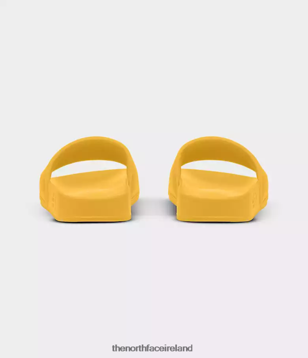 Footwear The North Face Men Base Camp Slides III Summit Gold/TNF Black 4VP2RZ32