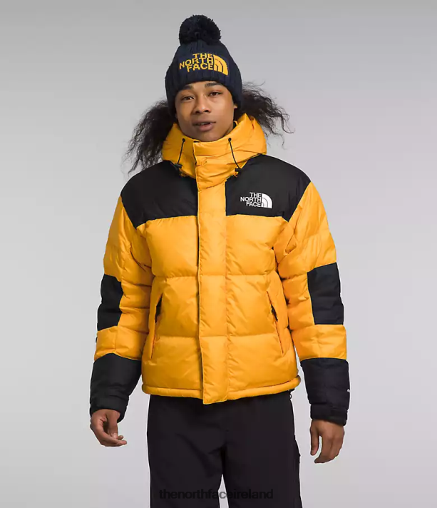 Clothing The North Face Men HMLYN Baltoro Jacket Summit Gold/TNF Black 4VP2RZ1004