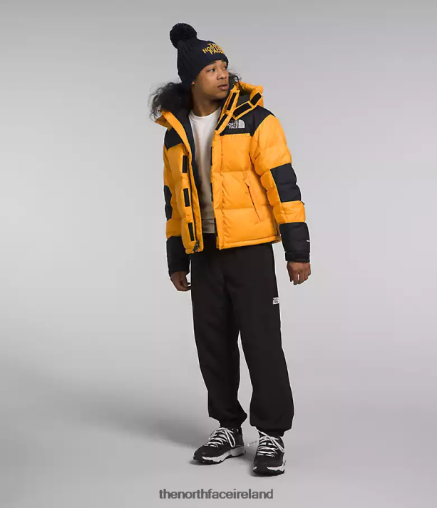 Clothing The North Face Men HMLYN Baltoro Jacket Summit Gold/TNF Black 4VP2RZ1004