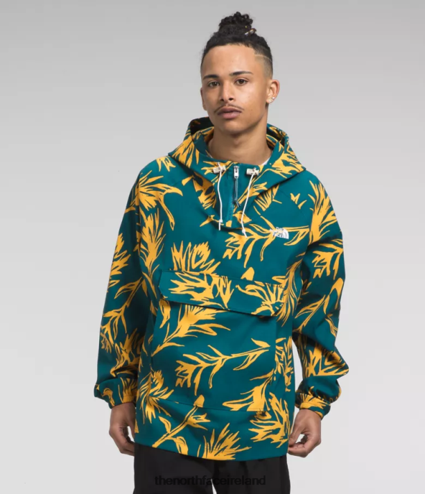 Clothing The North Face Men Class V Pullover Blue Coral Tropical Paint Brush Print 4VP2RZ593