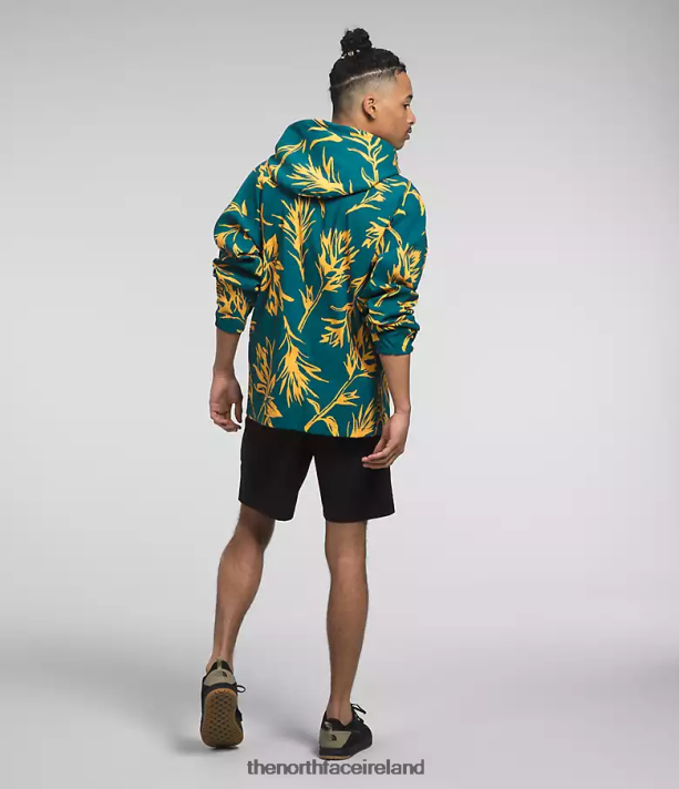 Clothing The North Face Men Class V Pullover Blue Coral Tropical Paint Brush Print 4VP2RZ593