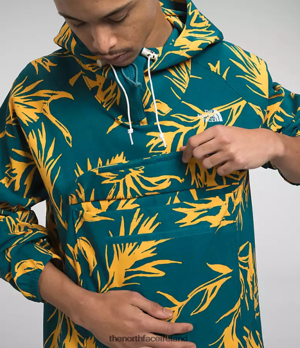 Clothing The North Face Men Class V Pullover Blue Coral Tropical Paint Brush Print 4VP2RZ593