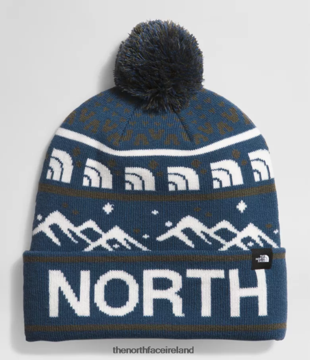 Accessory The North Face Unisex Ski Tuke Shady Blue/New Taupe Green 4VP2RZ1048