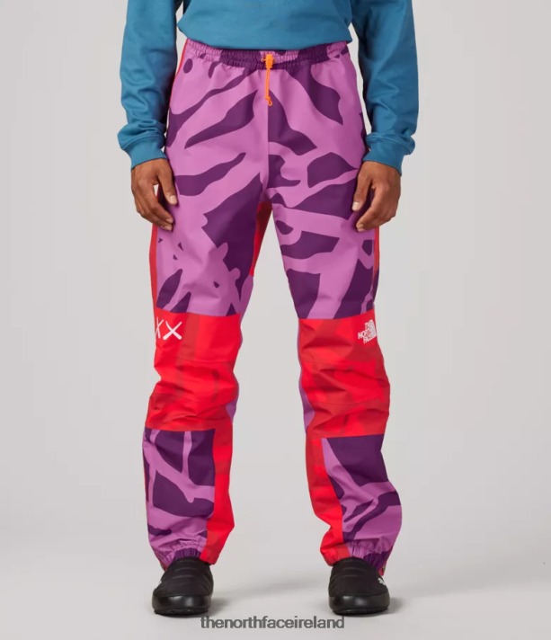 Clothing The North Face Unisex TNF X KAWS Mountain Light Pant Kw Pamplona Purple Mtn Light Print 4VP2RZ607