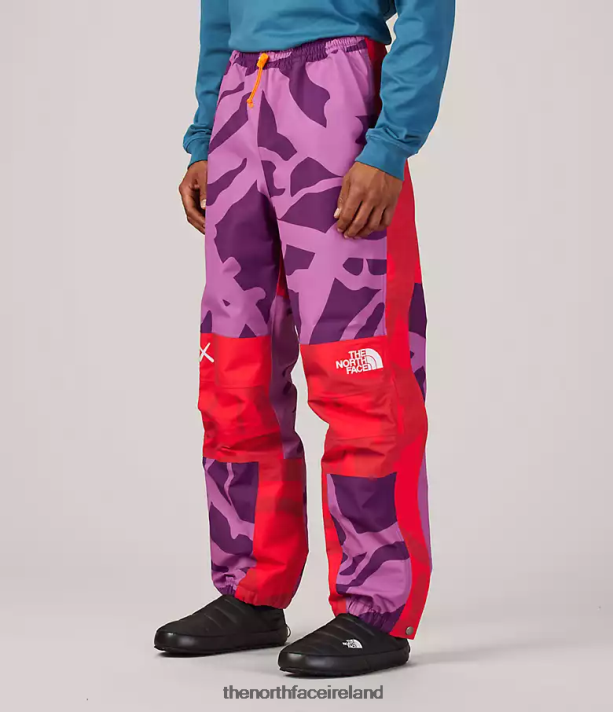 Clothing The North Face Unisex TNF X KAWS Mountain Light Pant Kw Pamplona Purple Mtn Light Print 4VP2RZ607