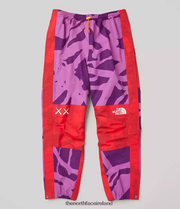 Clothing The North Face Unisex TNF X KAWS Mountain Light Pant Kw Pamplona Purple Mtn Light Print 4VP2RZ607