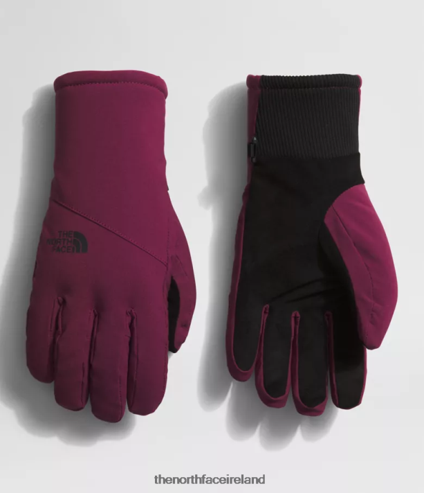 Accessory The North Face Women Shelbe Raschel Etip Gloves Boysenberry 4VP2RZ860