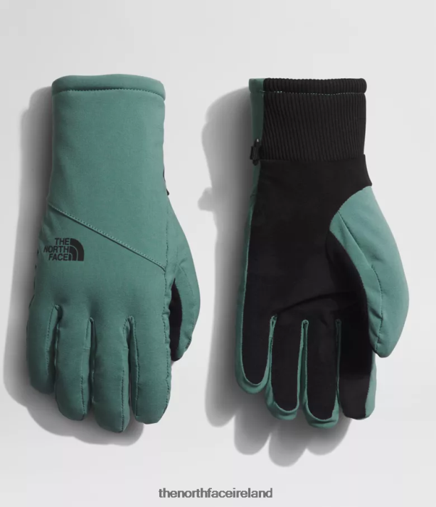 Accessory The North Face Women Shelbe Raschel Etip Gloves Dark Sage 4VP2RZ861