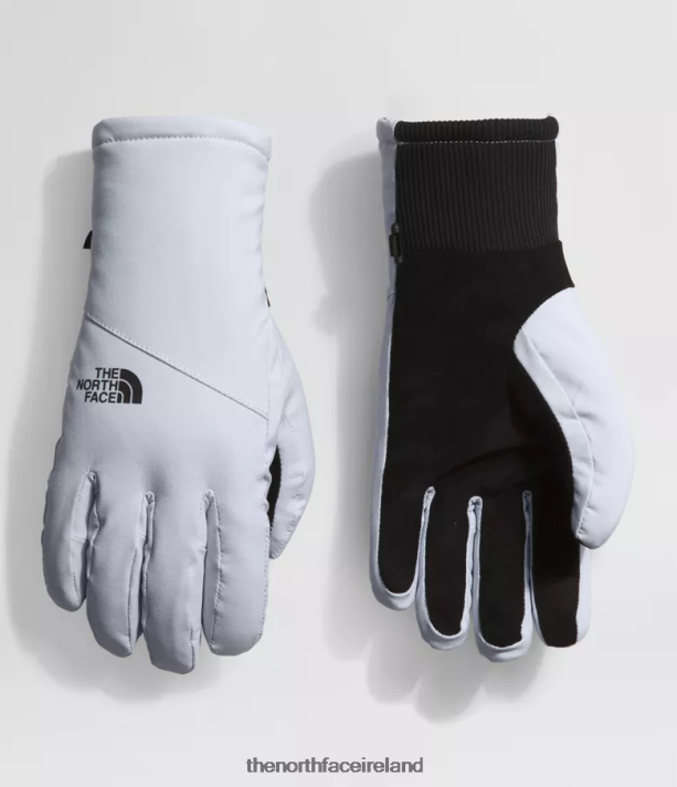 Accessory The North Face Women Shelbe Raschel Etip Gloves Dusty Periwinkle 4VP2RZ859