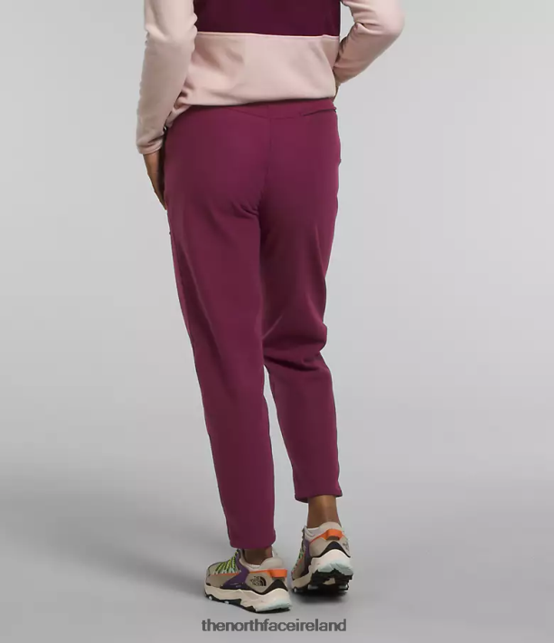 Clothing The North Face Women Alpine Polartec 100 Pants Boysenberry 4VP2RZ846