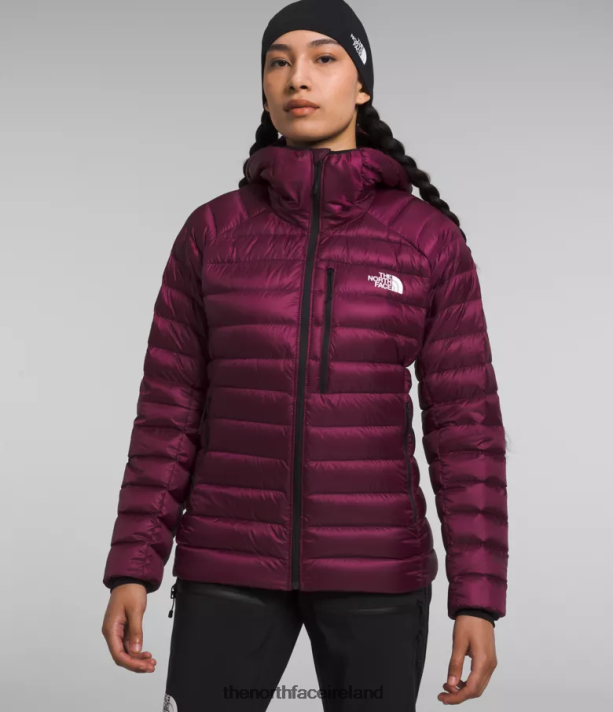 Clothing The North Face Women Summit Series Breithorn Hoodie Boysenberry 4VP2RZ668