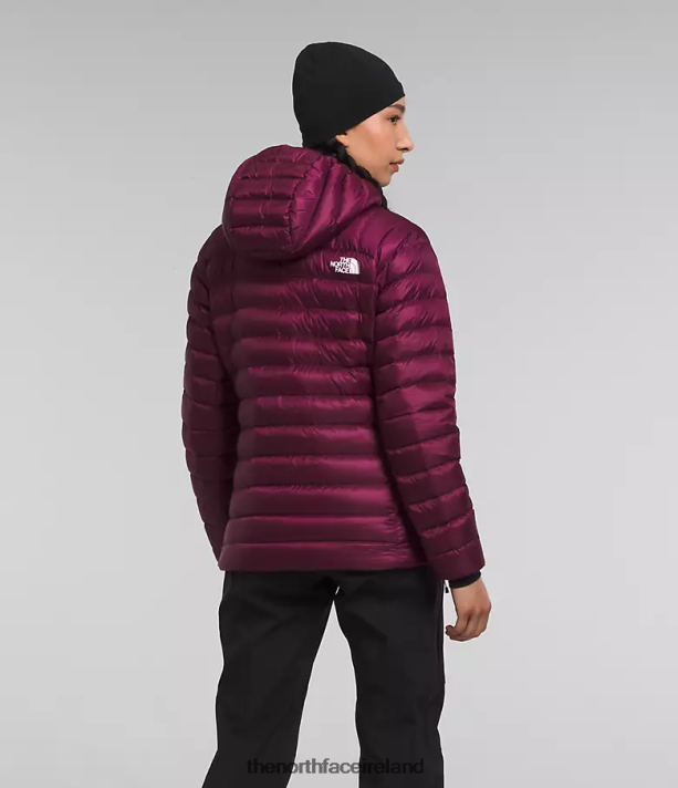 Clothing The North Face Women Summit Series Breithorn Hoodie Boysenberry 4VP2RZ668