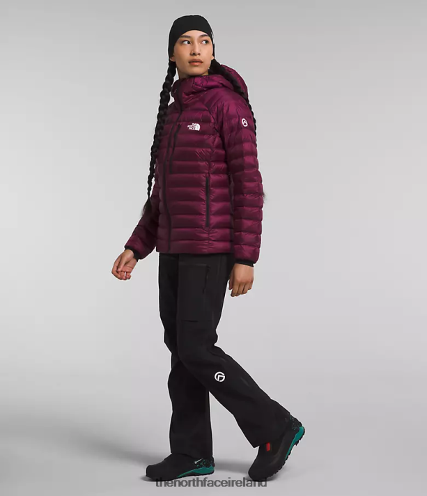 Clothing The North Face Women Summit Series Breithorn Hoodie Boysenberry 4VP2RZ668
