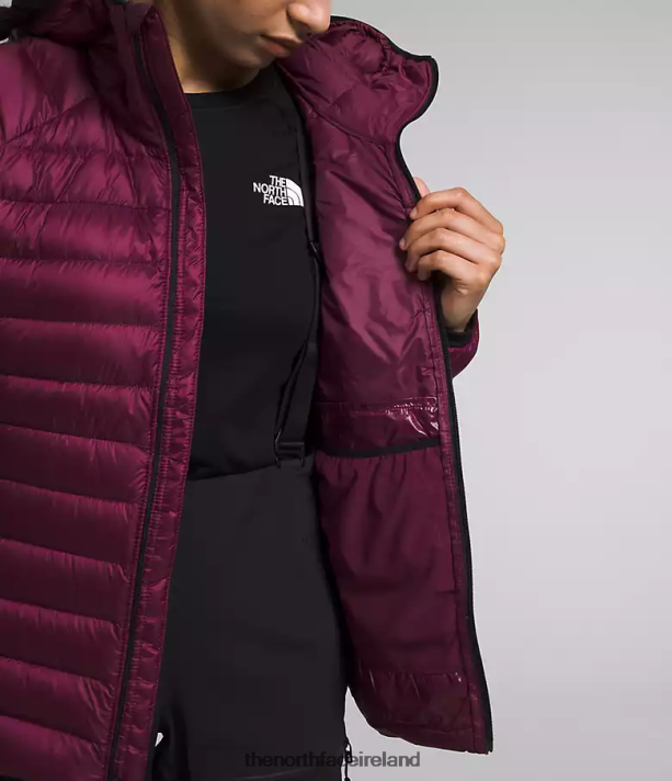 Clothing The North Face Women Summit Series Breithorn Hoodie Boysenberry 4VP2RZ668