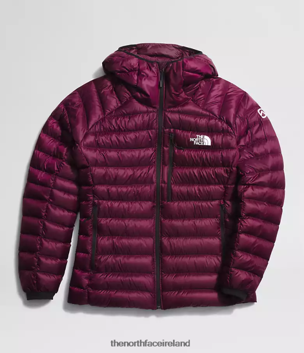 Clothing The North Face Women Summit Series Breithorn Hoodie Boysenberry 4VP2RZ668
