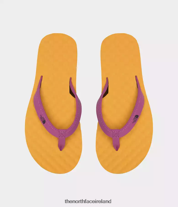 Footwear The North Face Women Base Camp Mini Slip-ons II Base Camp Summit Gold/Purple Cactus Flower 4VP2RZ64