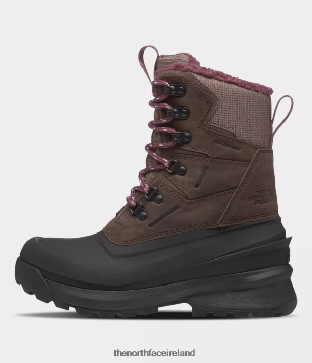 Footwear The North Face Women Chilkat V 400 Waterproof Boots Deep Taupe/TNF Black 4VP2RZ947